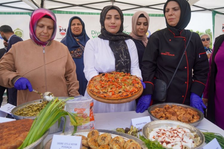 1. Diyarbakır Otları ve Şerbet Festivali düzenlendi -