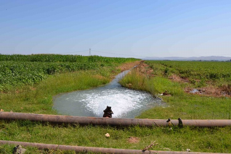 18 bin çiftçiyi ilgilendiriyor! Şanlıurfa ve Mardin'deki tarımsal sulama abonelerine son uyarı! -