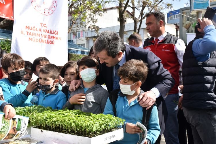 1963'ten günümüze ata tohumlarından elli bin fide toprakla buluştu -