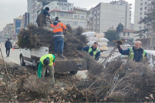 Kayseri Büyükşehir 'yeşil Kayseri' için çalışıyor 