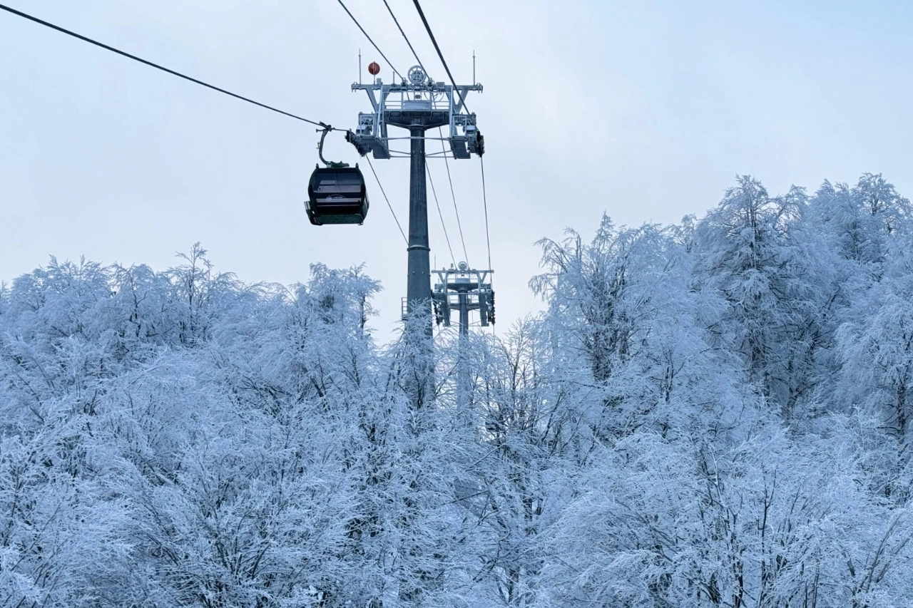 Karnesini getirene Kartepe Teleferiği yüzde 50 indirimli 