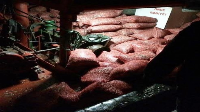 80.000 KG KUM MİDYESİNE EL KONULDU.