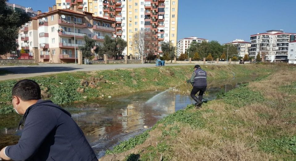 Nazilli’de haşereyle mücadele başladı