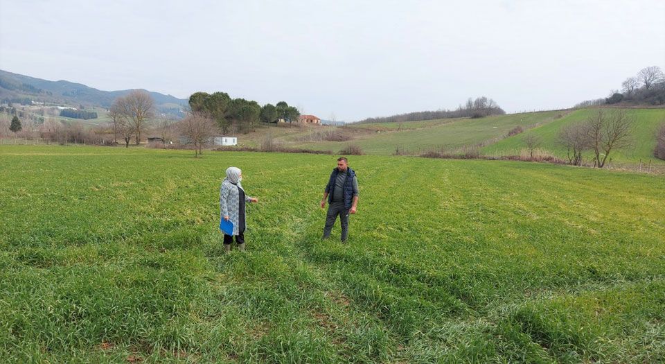 Kocaelide tıbbi ve aromatik bitki yetiştiriciliğine yoğun ilgi