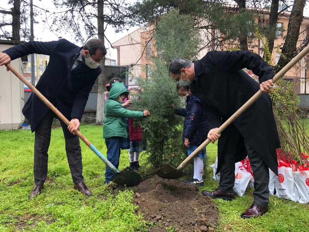 Gürsulu miniklere fidanla 'Işık' yaktı