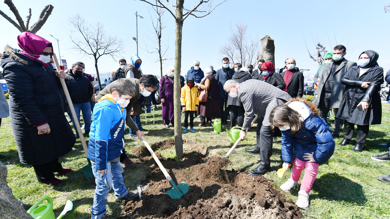 İstanbul Üsküdar'da katledilen ağaçların yerine yenileri dikildi