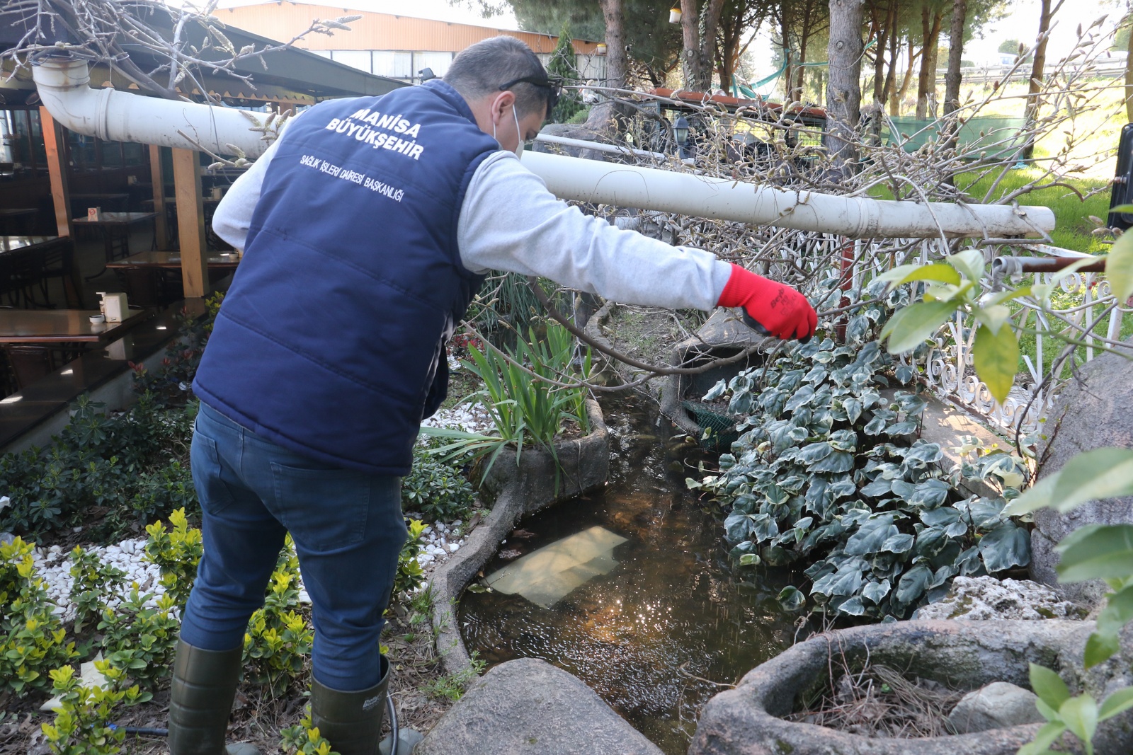 Manisa'da haşere mücadelesi başladı