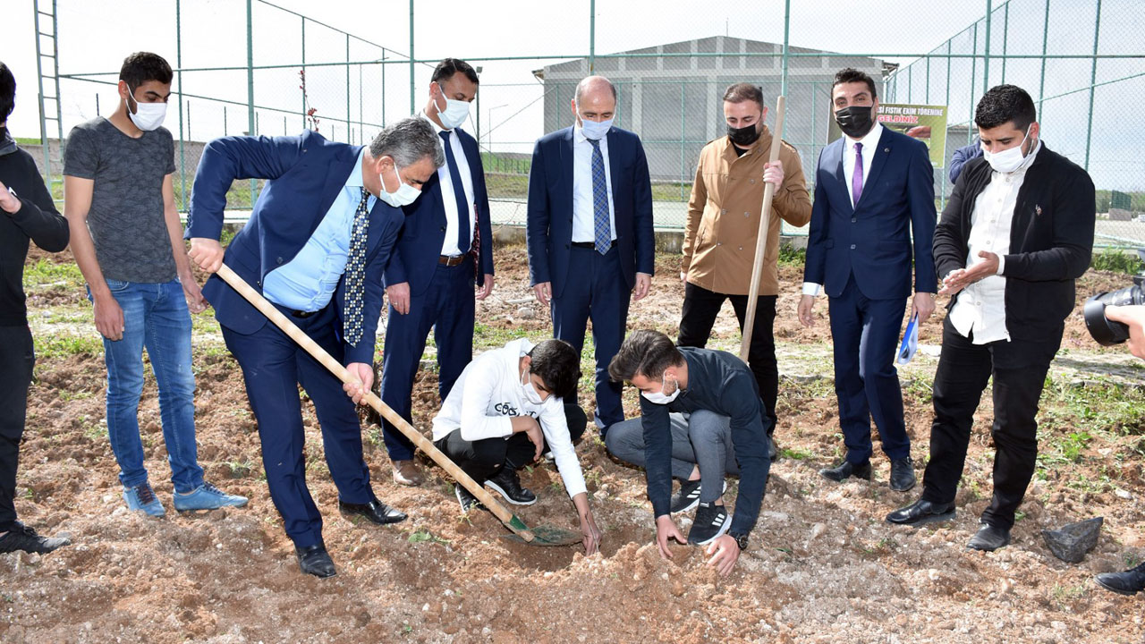 Batman'da okul bahçeleri fıstık ağaçlarıyla buluşuyor