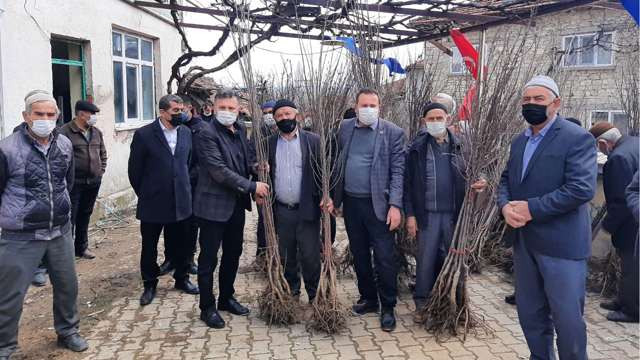 Orhaneli çiftçisine vişne fidanları dağıtıldı