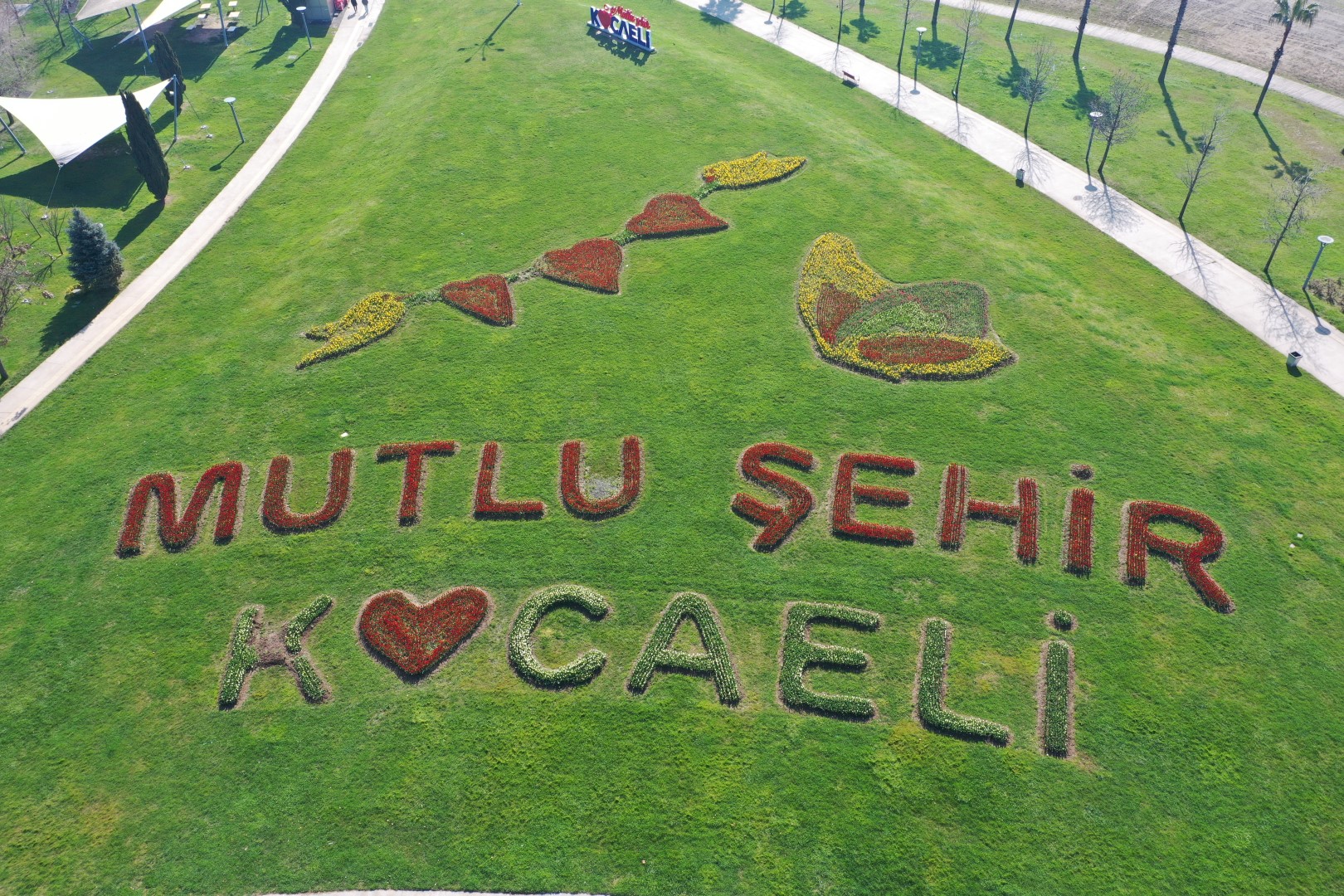 Kocaeli Seka Park'ta laleler sosyal mesaj verdi