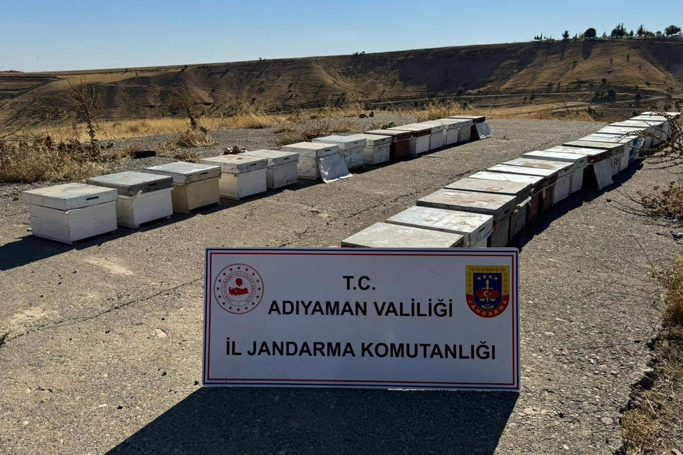 Adıyaman'da arı kovanlarını çalan şahıs yakalandı! -