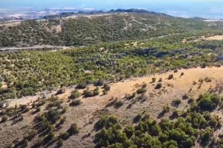 Adıyaman’da kaybolan 52 küçükbaş hayvan jandarma tarafından bulundu -