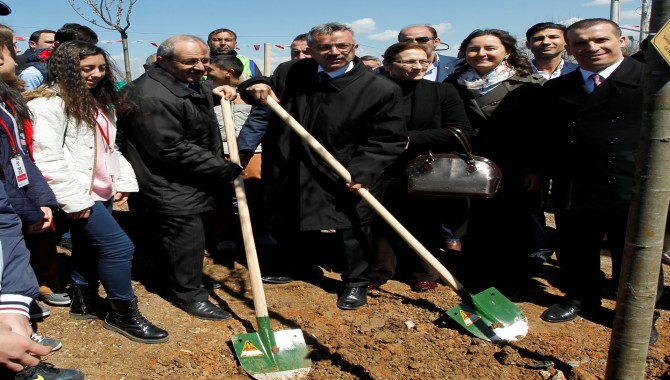 AĞAÇLANDIRMA BUGÜN KADILLI’DA