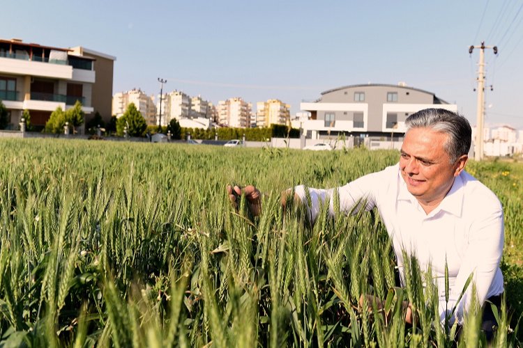 Antalya Muratpaşa Gıda Politika Rehberi geliyor -