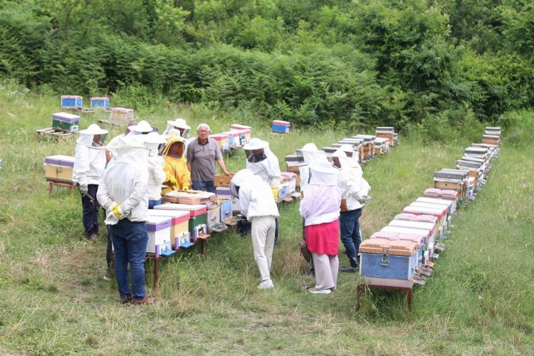 Arı yetiştiricileri ilkleri KO-MEK’te öğreniyor -