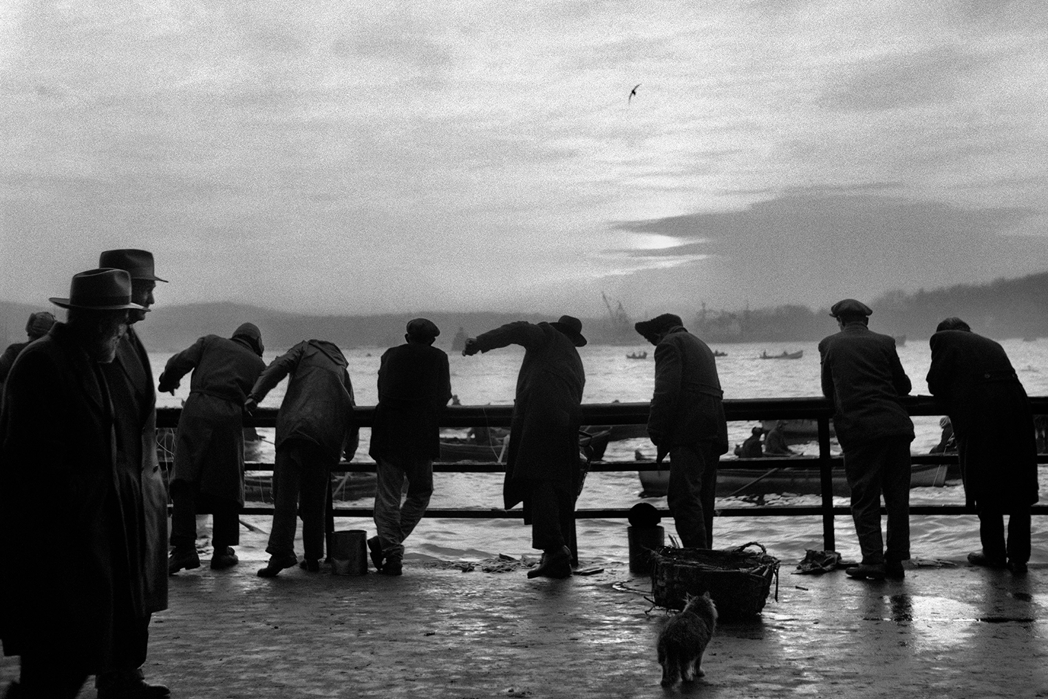 Ara Güler'in 'İstanbul Uyanıyor' kapılarını açtı -