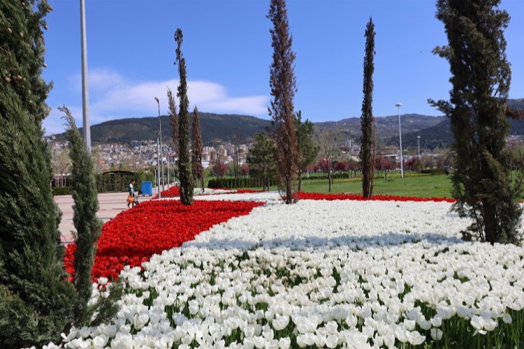 Baharın tüm renkleri Bursa’yı sardı -