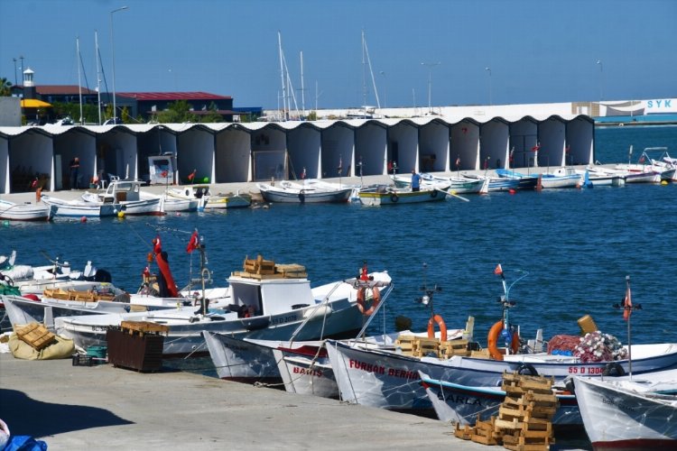 Balıkçılar mutlu! Hayaldi, gerçek oldu -