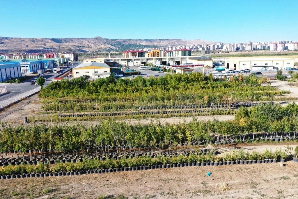 Başkan Çolakbayrakdar, “Yeşil ve daha yeşil bir Kayseri için çalışıyoruz” -