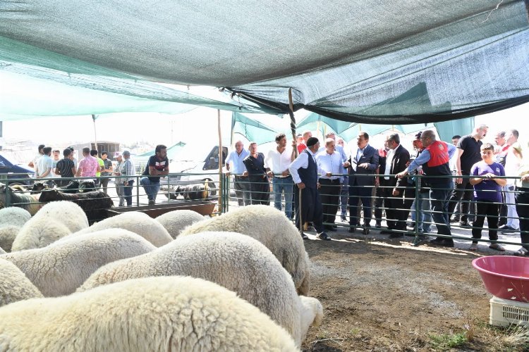 Başkan Gürkan canlı hayvan pazarında -