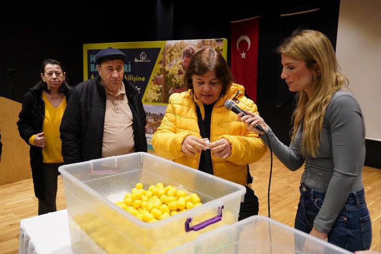 Beylikdüzü'nde hobi bahçeleri sahiplerini buldu -