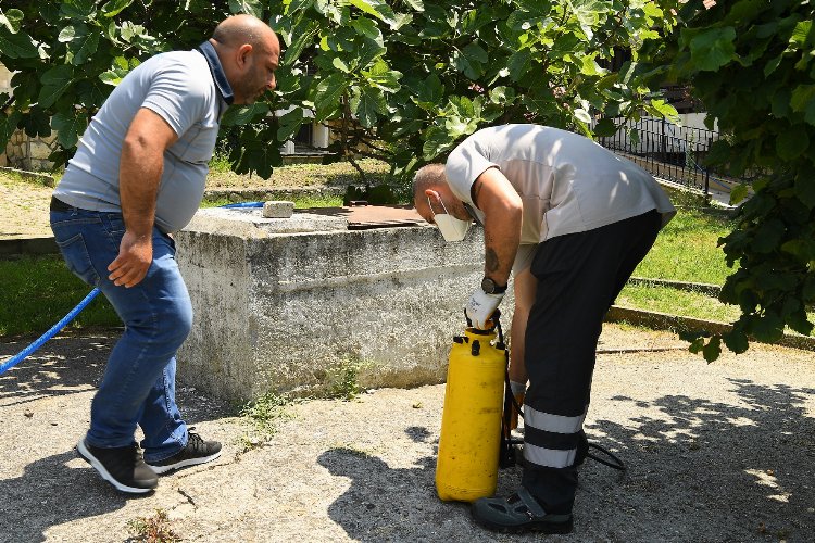 Beylikdüzü'nde ilaçlamalar sürüyor -