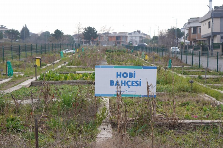 Beylikdüzü'nün 'hobi bahçeleri'nde kura heyecan -