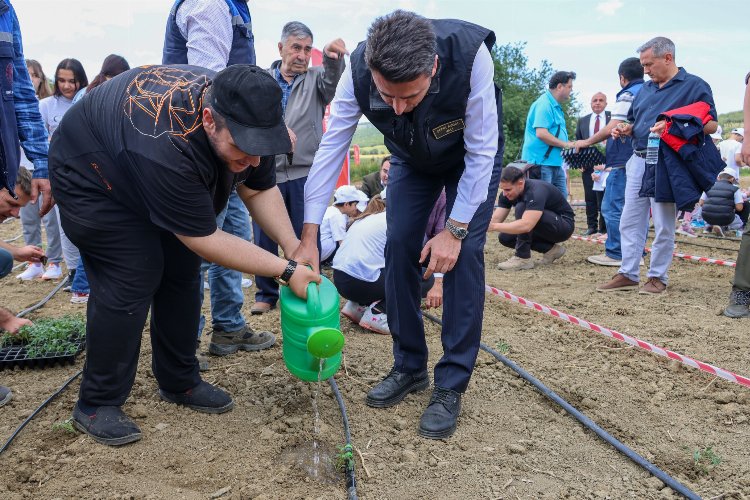 Bilecik Bozüyük'te fideler ilk can suyu Vali Aygöl'den -