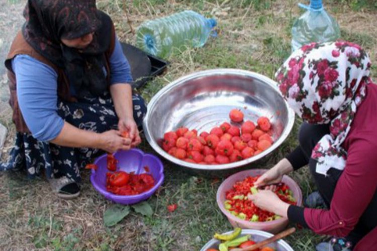 Bingöl'de üreticilerin kış hazırlığı -