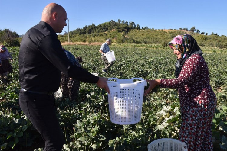 Börülce hasadında koruyucu ekipmanlar dağıtıldı -