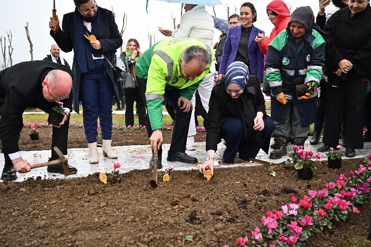 Bursa'da erguvan fidanları toprakla buluştu -