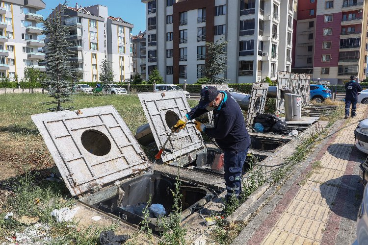 Bursa'da sinekle her yönden mücadele -