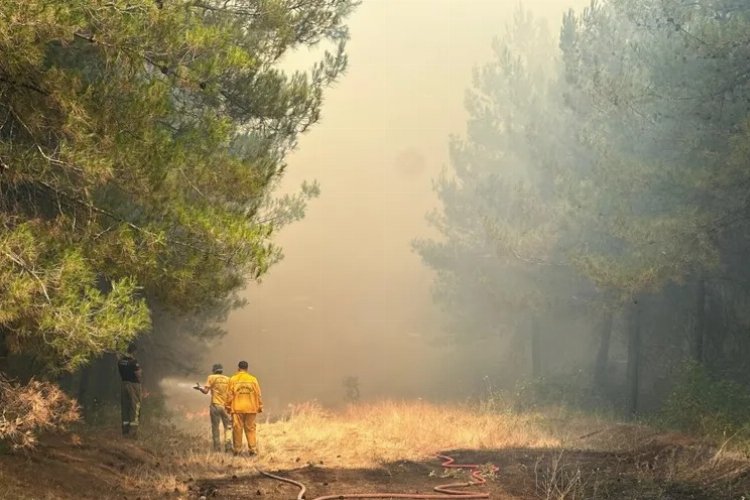 Bursa’daki orman yangını hakkında dikkat çeken iddialar -