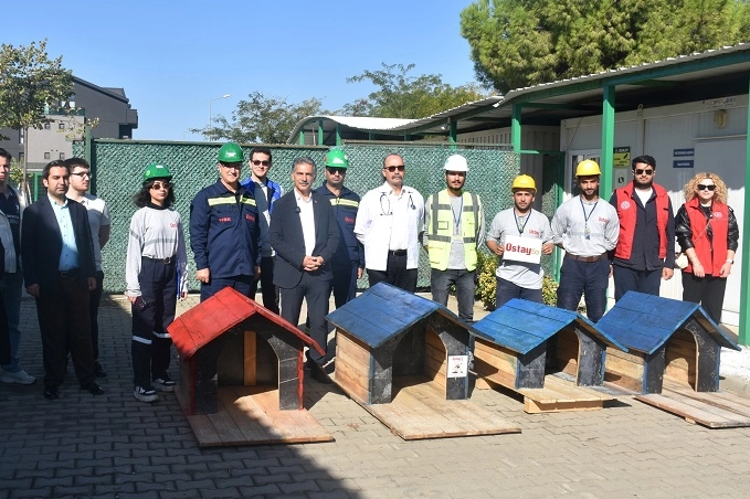 Bursa Gemlik'te patili canlar koruma altında -