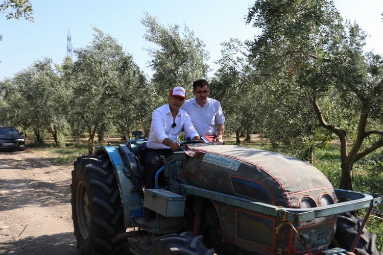 Bursa Gemlik'te zeytin ağaçları suya kavuştu -