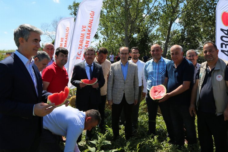 Bursa Karacabey’de karpuz hasadı