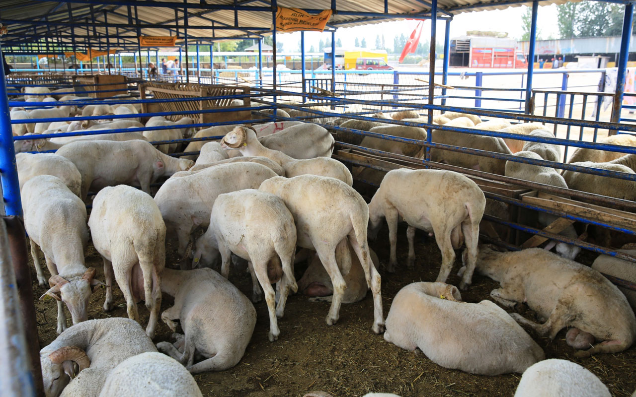 Bursa Nilüfer’de kurban kesim yerleri belirlendi