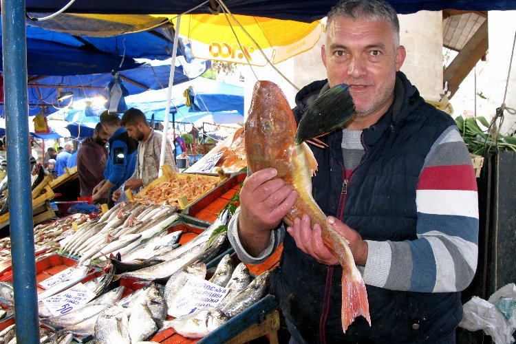 Bursa Yenişehir'de kırlangıç balığı ilgisi -