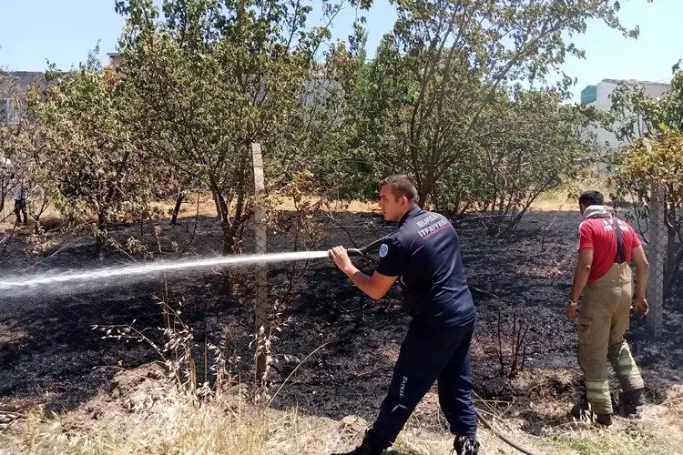 Bursa Yolçatı'da yeniden yangın başladı -