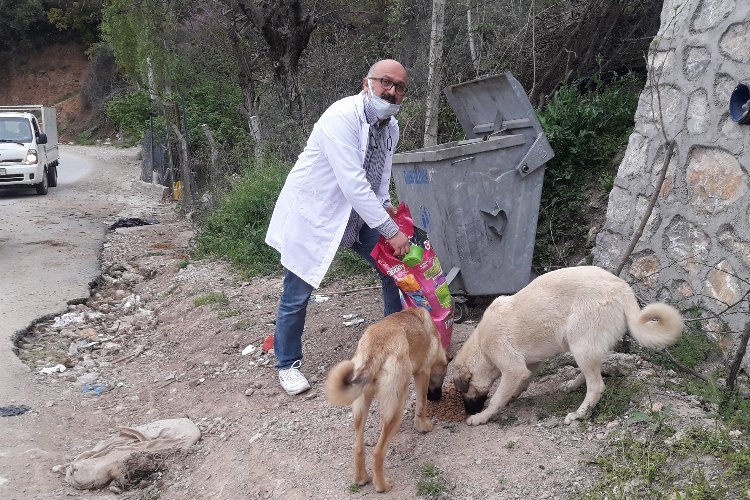 Bursalı veterinerden 'bir kap su, bir kap mama' çağrısı -