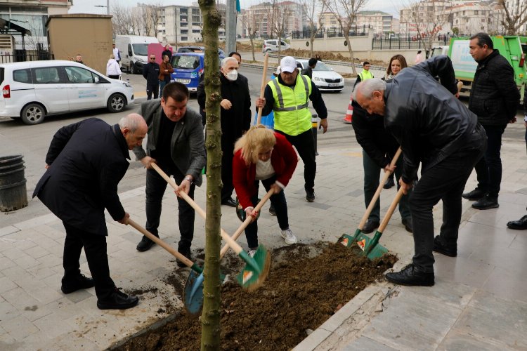 Büyükçekmece yeni yıla 24 mahalleye ağaç dikerek girdi -