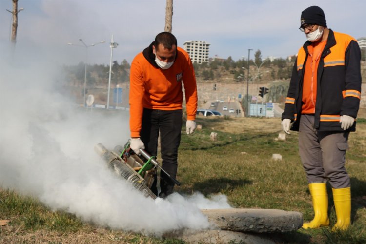 Büyükşehir vektör ile mücadelede işi sıkı tutuyor -