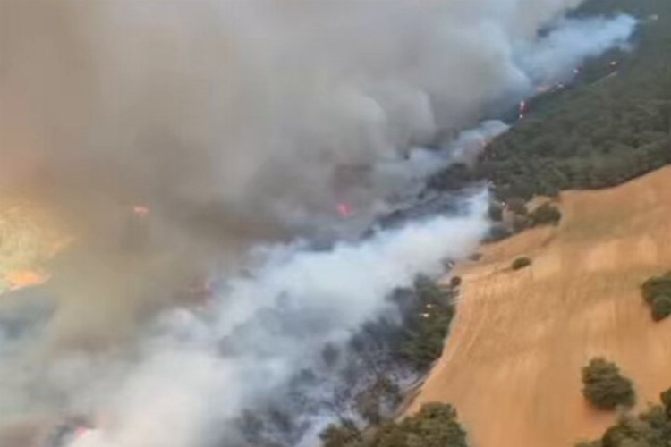 Çanakkale Eceabat'ta yangına müdahale sürüyor! -