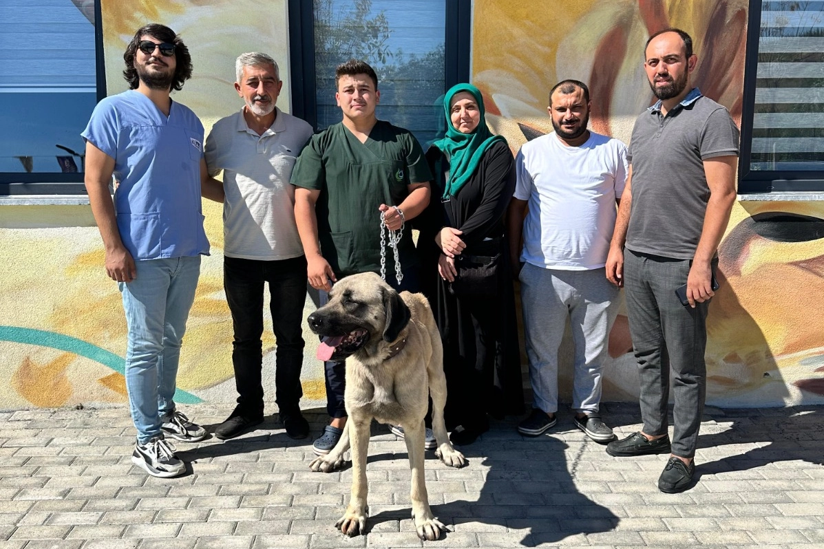 Çayırova'da 10 ayda 170 can dosta yuva bulundu -