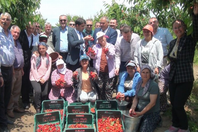 Çeribaşı Kiraz Hasadı Şenliği yapıldı -