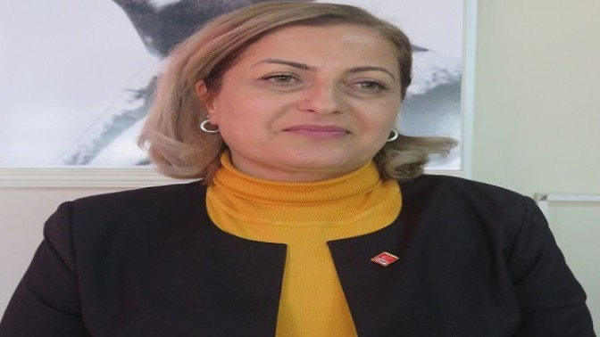 CHP DARICA KADIN KOLLARINDA YENİ BAŞKAN EBRU TAYANÇ