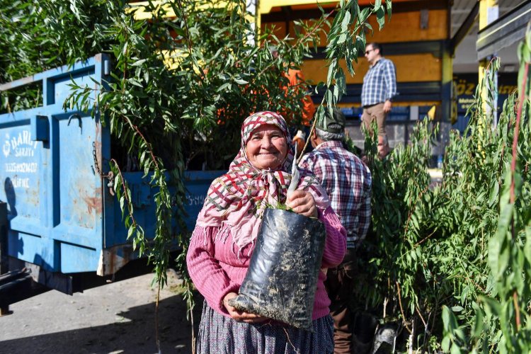 Çiftçiye badem fidanı desteği -