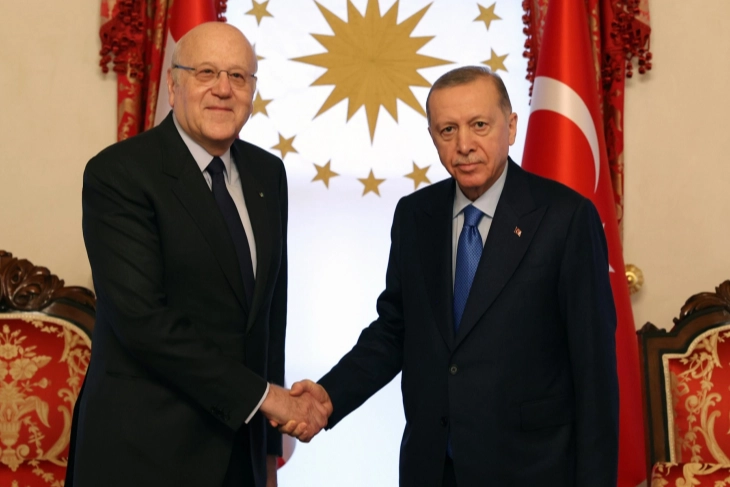 Cumhurbaşkanı Erdoğan, Mikati ile görüştü -