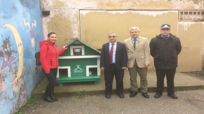 DARICA’DA SOKAK HAYVANLARINA ÖZEL ÇALIŞMA