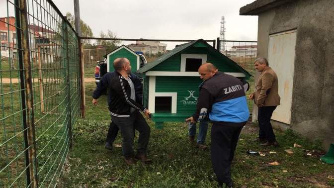 DARICA’DA SOKAK HAYVANLARINA ÖZEL ÇALIŞMA